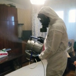 Дезинфекция от клопов в Певеке