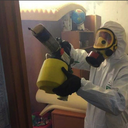 Уничтожение клопов в квартире. Певек